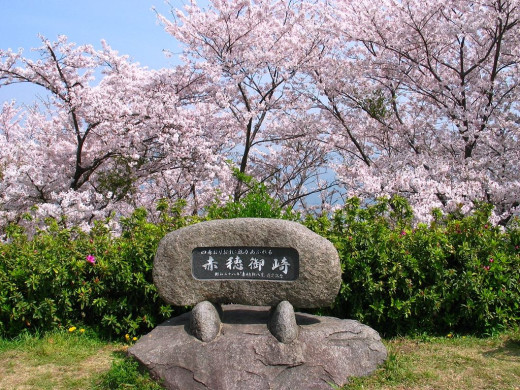 45278 (a): :1024x768